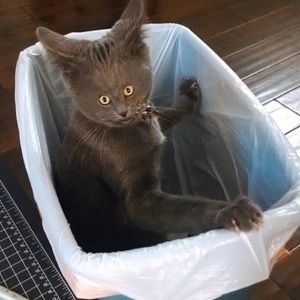 Meet your Posher, Simon